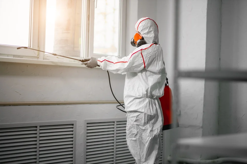 Professional mold remediation services in West Chesterfield, MA